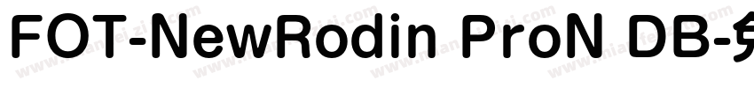 FOT-NewRodin ProN DB字体转换